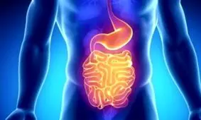 تاثیر یک افزودنی غذایی پرمصرف بر سلامت روده