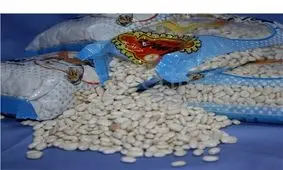 نرخ میوه، مواد پروتئینی و حبوبات در قزوین؛ چهارشنبه ۲۵ اردیبهشت‌ماه + جدول