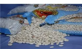 نرخ میوه، مواد پروتئینی و حبوبات در قزوین؛ چهارشنبه ۲۵ اردیبهشت‌ماه + جدول