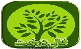 تست کدام درخت را نقاشی می کنید؟