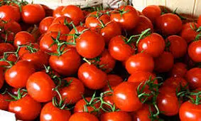 بهبود طعم و ارزش غذایی گوجه‌فرنگی