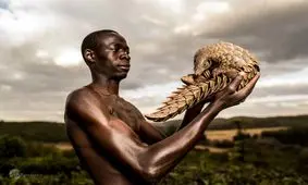 سیارۀ در خطر