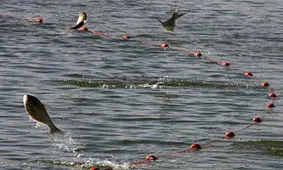 کشف و ضبط یک رشته تور ماهیگیری در خمین