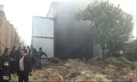 انبار علوفه در چشمه قصابان همدان آتش گرفت