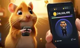 کارت امروز همستر کامبت ۱۱ تیر دوشنبه


