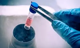 کشف روش فعال کردن سیستم دفاعی سلول های بنیادی