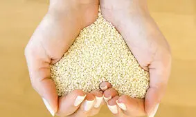 این ماده غذایی دارای خواص گوشت است ولی ضرر آن را ندارد