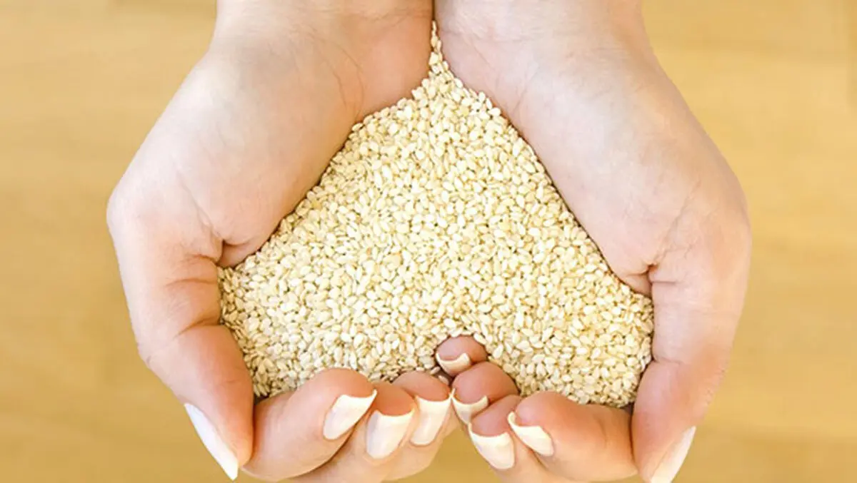 این ماده غذایی دارای خواص گوشت است ولی ضرر آن را ندارد