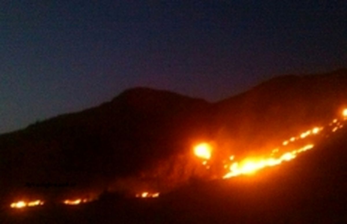 آتش سوزی مجدد کوه های منطقه سه راهی و کارکنان دوگنبدان