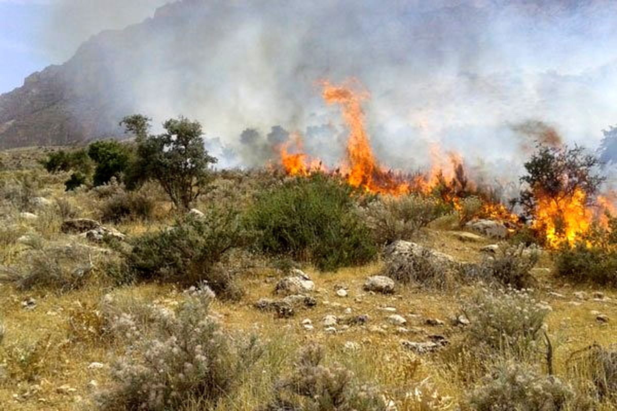 ۴۰ هکتار ازمراتع منطقه کارکنان تا آب گرمو در گچساران در آتش سوخت
