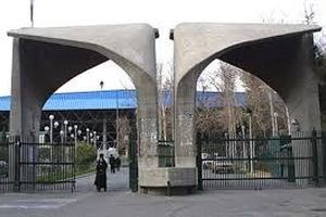 کدام رشته‌ها بیشترین فارغ‌التحصیل را دارند؟