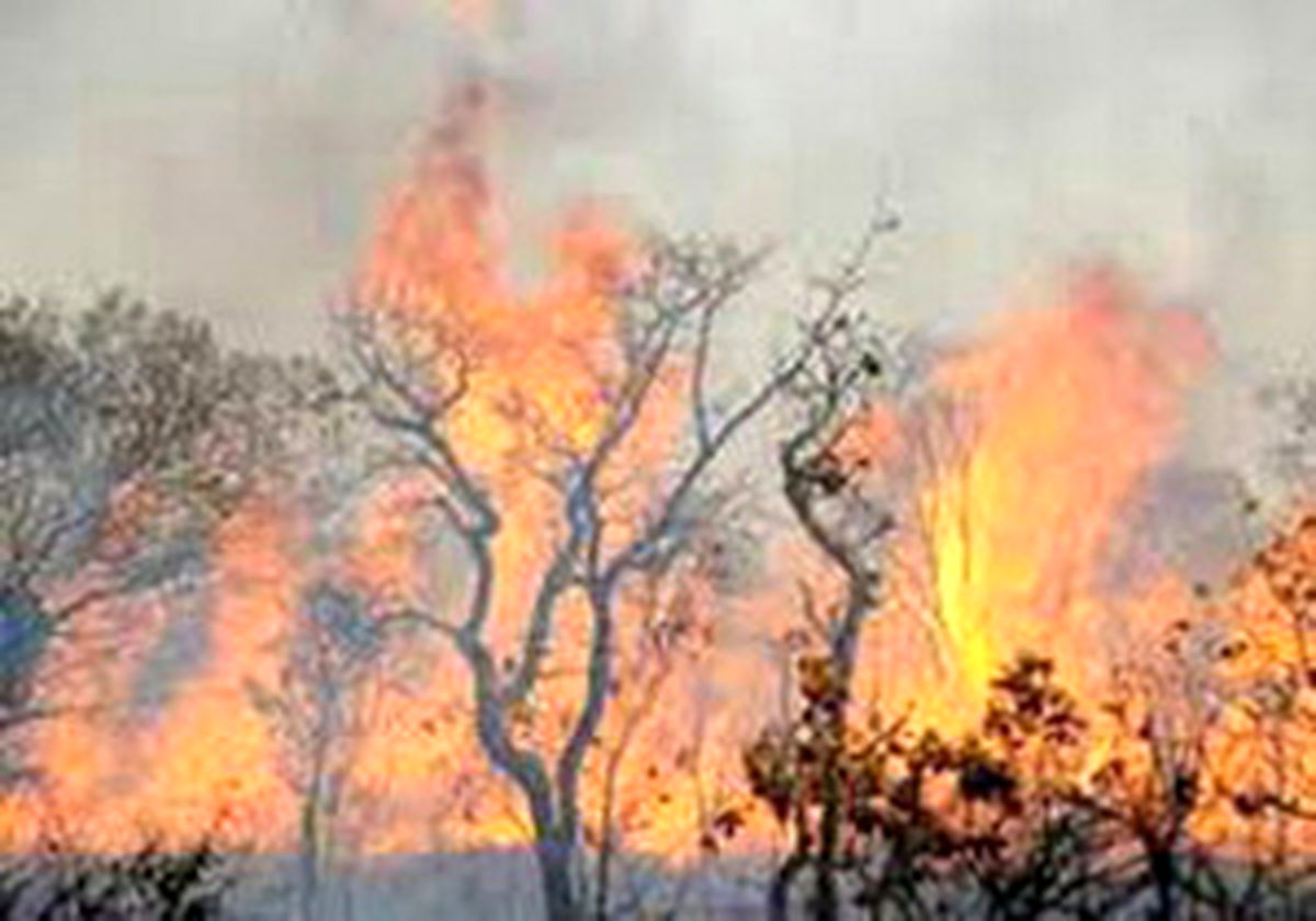 رعد و برق محدوده روستای چکک کوهمره نودان کازرون را به آتش کشید
