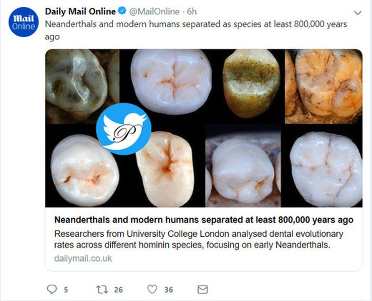 دندان انسان مدرن با انسان نئاندرتال ۸۰۰.۰۰۰ سال پیش متفاوت بوده است