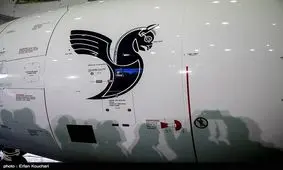 هما چقدر ارز دولتی گرفت؟