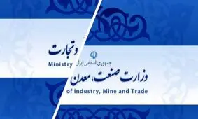 سلیمی: دولت با دور زدن مجلس به دنبال احیای وزارت بازرگانی با راه‌اندازی یک معاونت است