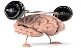 گیاهان مفید برای تقویت مغز را بشناسید + اینفوگرافیک