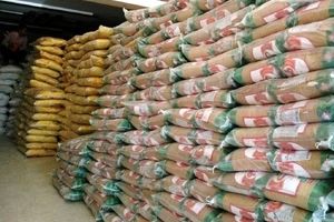کشف ۱۵۱ تن برنج احتکار شده در شیراز