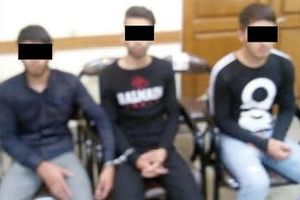 عملیات نفوذی پلیس در شبکه مخوف «گوشی قاپی»