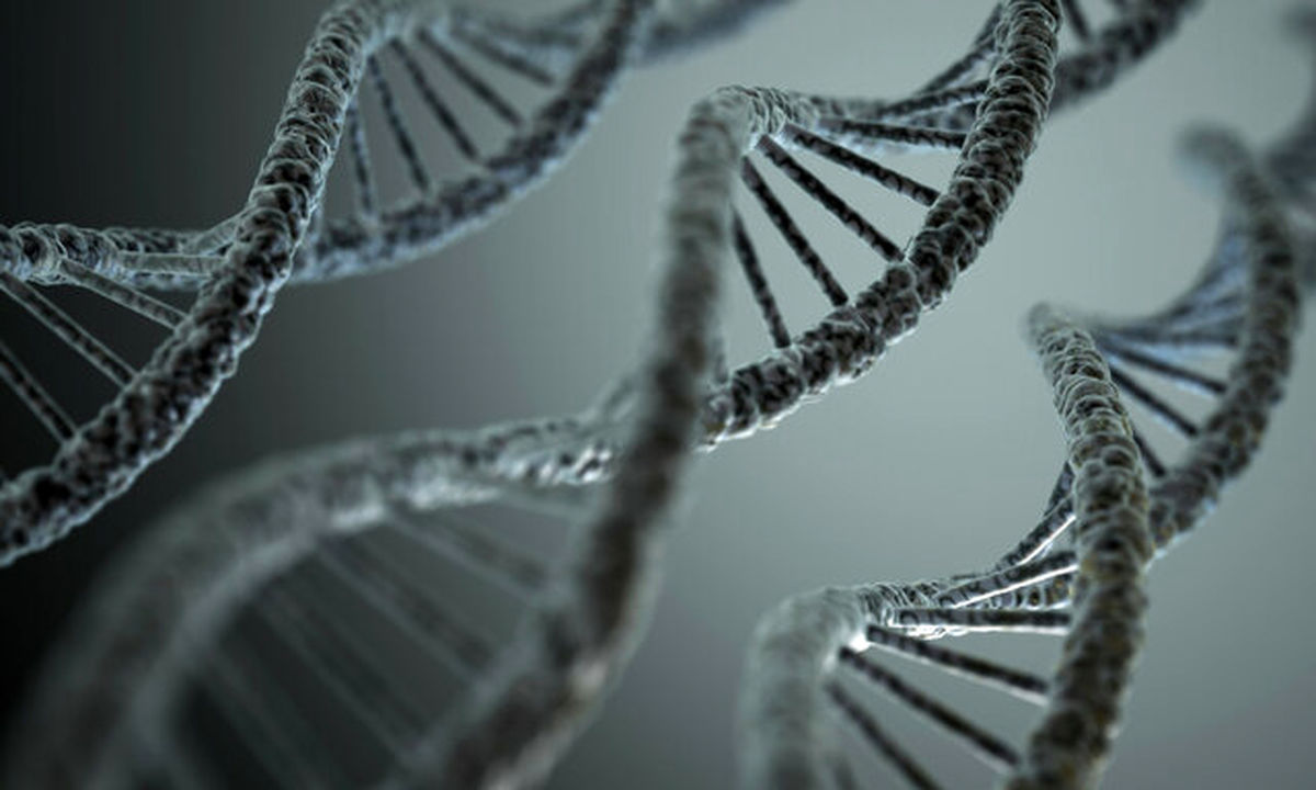 اختصاص بودجه 38.5 میلیون دلاری برای تجاریسازی ساخت DNA