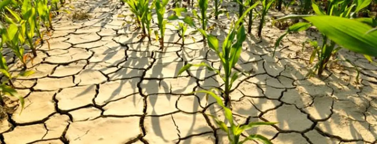 منابع آبی ایران وضعیت بحران را رد کرده‌اند/تکلیف نسل‌های بعدی مشخص نیست