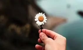 برترین تصاویر پس‌زمینه