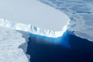 ناپایداری یک چهارم یخ‌های قطب جنوب