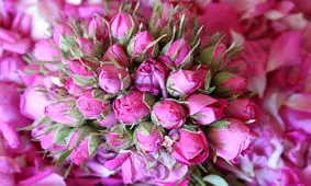 16 خاصیت پنهان گل سرخ