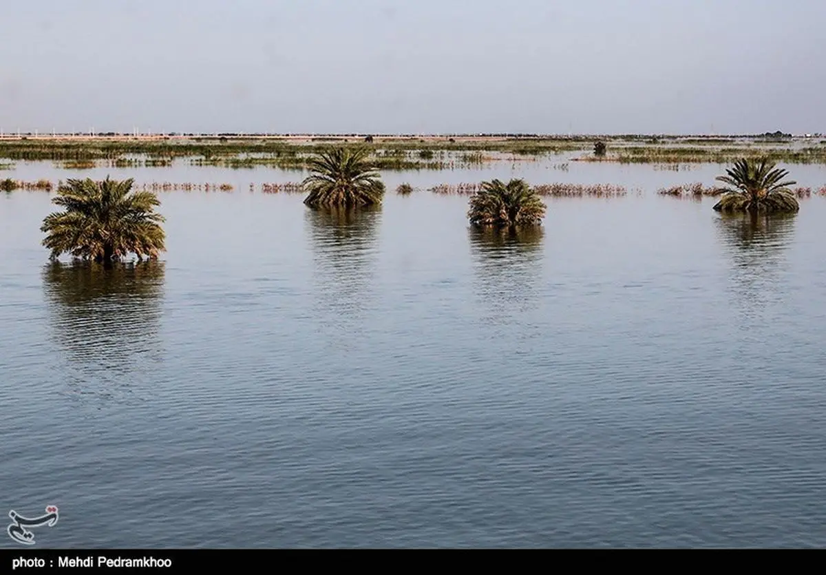 سیل در ‌کلات‌ نادری؛ ‌تخریب خانه‌ها شدید است‌