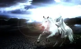 چرا امام زمان غائب شده اند؟