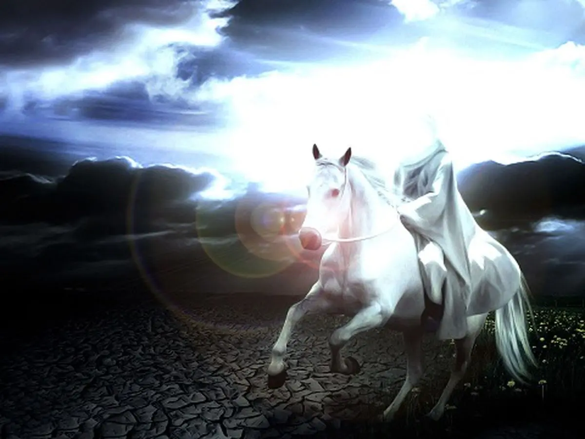 چرا امام زمان غائب شده اند؟