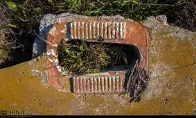 بزرگترین جزیره ایرانی در دریای خزر +تصاویر