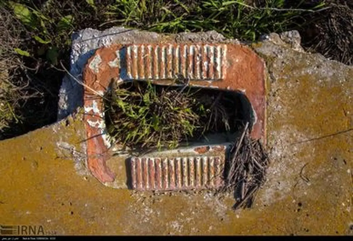 بزرگترین جزیره ایرانی در دریای خزر +تصاویر