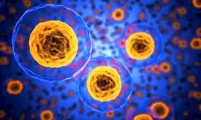 دیابت، عملکرد سلول‌ها را تغییر می‌دهد