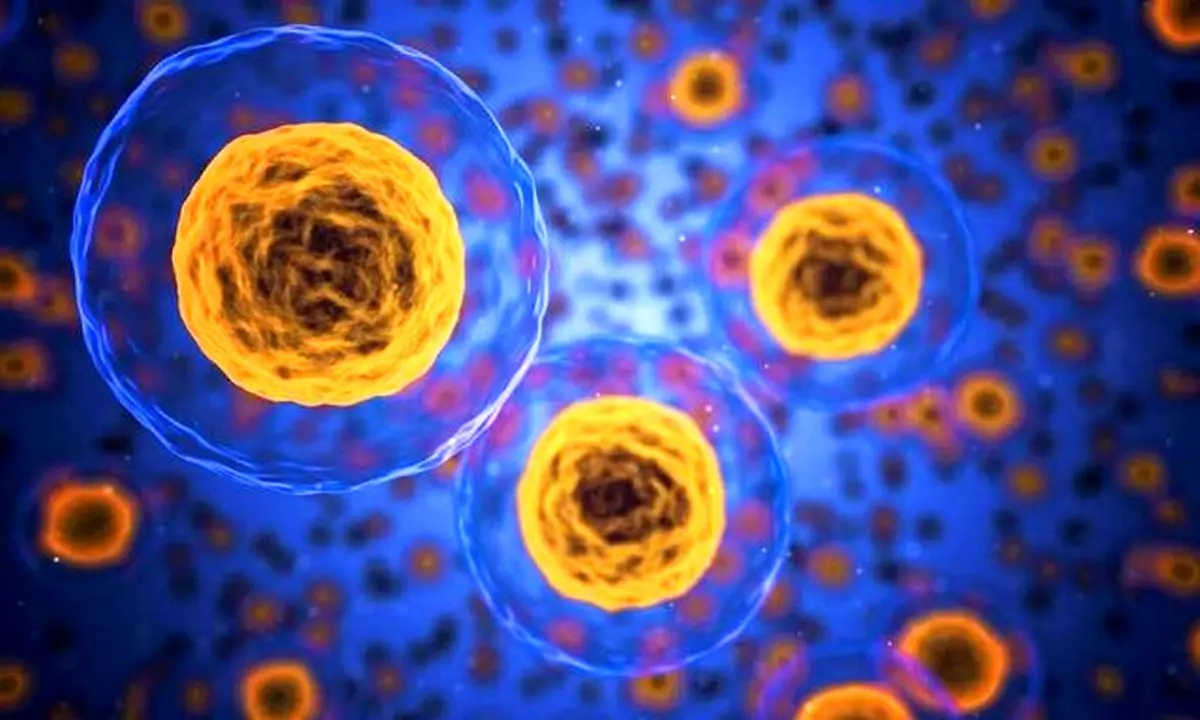 دیابت، عملکرد سلول‌ها را تغییر می‌دهد