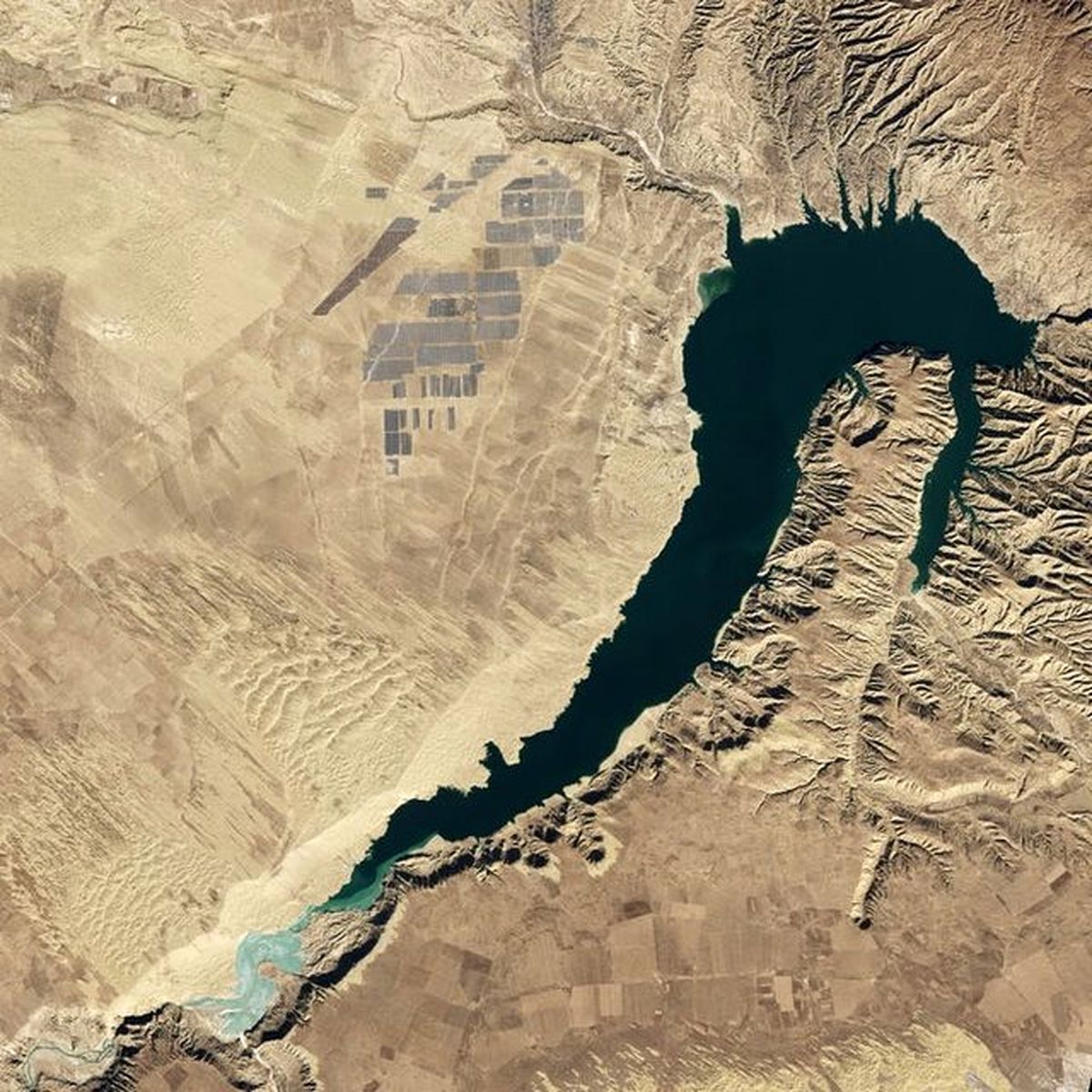 بزرگترین مزرعه خورشیدی جهان+عکس