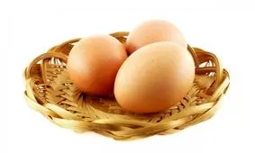 مصرف مرغ و تخم مرغ های محلی ممنوع است/ریزش پرندگان مهاجر در نیمی از کشور