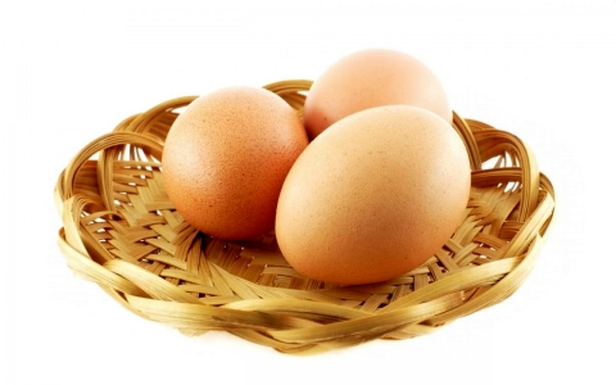 مصرف مرغ و تخم مرغ های محلی ممنوع است/ریزش پرندگان مهاجر در نیمی از کشور