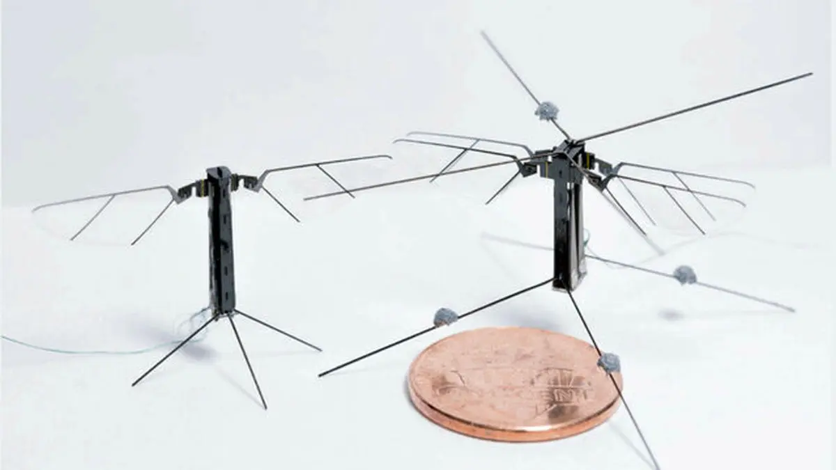 رباتی پروازی به چالاکی یک حشره واقعی