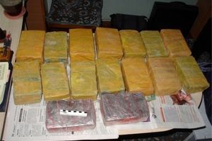 ۹ تن مواد مخدر در استان بوشهر کشف شد