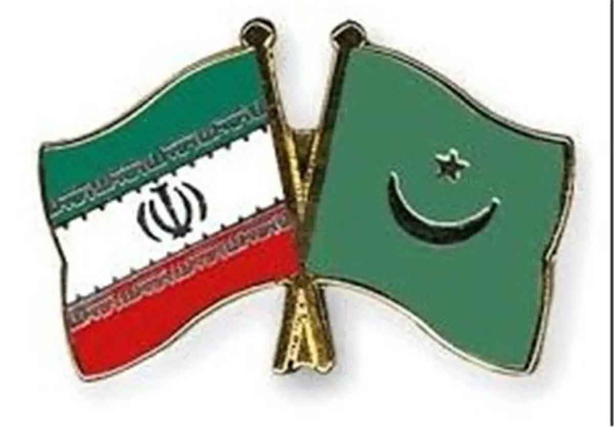 دیدار رئیس جدید گروه دوستی پارلمانی موریتانی با سفیرایران