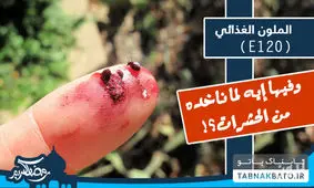 از علامت تجاری E ۱۲۰ روی بسته‌های مواد غذایی چه می‌دانید؟