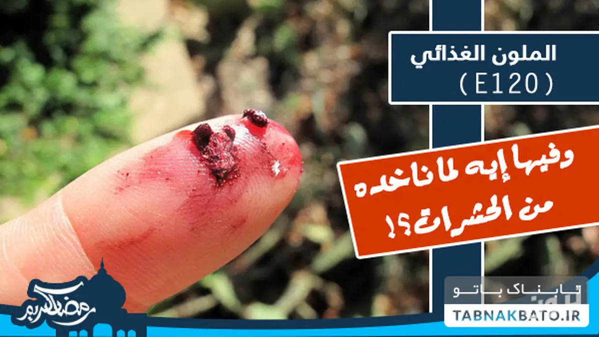 از علامت تجاری E ۱۲۰ روی بسته‌های مواد غذایی چه می‌دانید؟