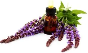 فروش هرگونه دارو با ترکیبات سالویا غیرقانونی است