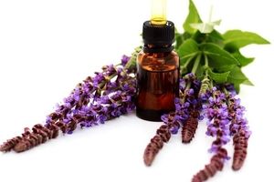 فروش هرگونه دارو با ترکیبات سالویا غیرقانونی است