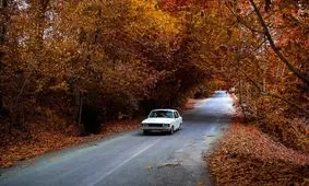 راه یافتگان به جایزه فرشته معرفی شدند