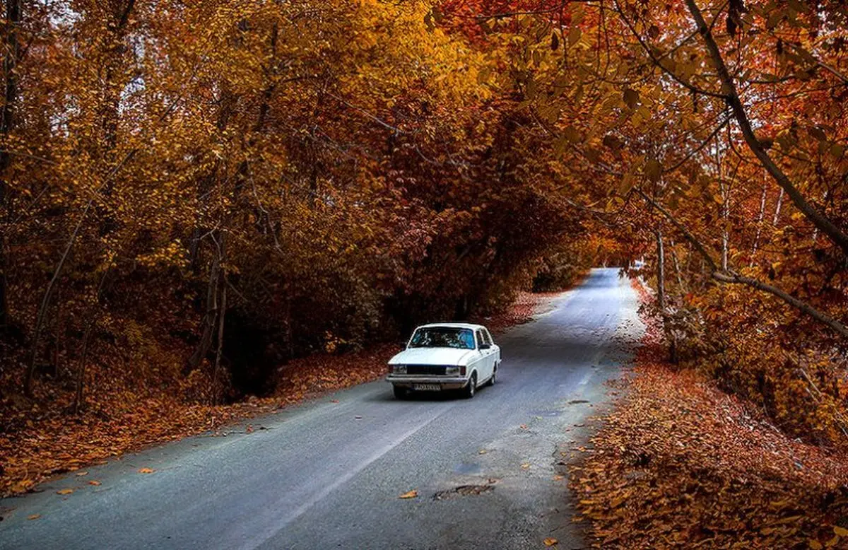 راه یافتگان به جایزه فرشته معرفی شدند
