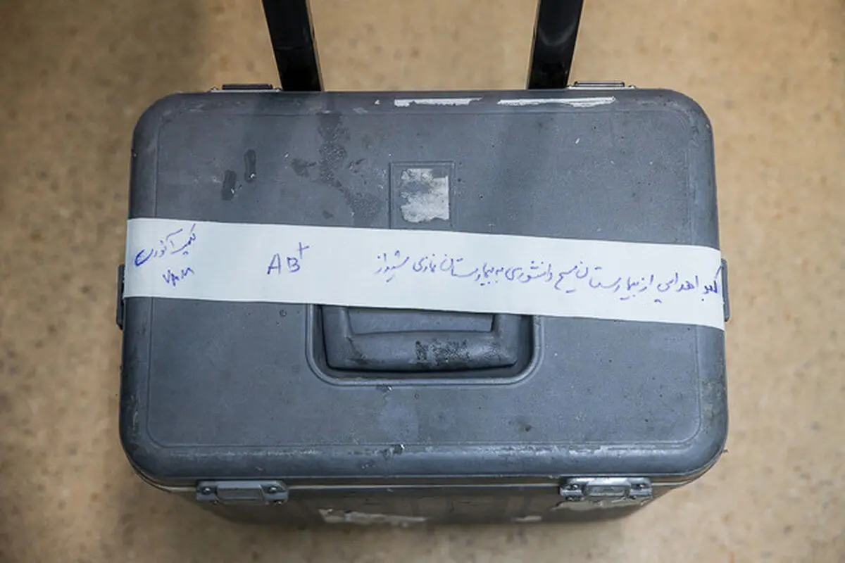 اعضایی که نباید به خاک سپرده شوند!