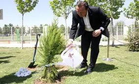 کی روش که رفت، چرا ویلموتس سرمربی تیم ملی شد؟