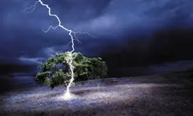 صاعقه زدگی یک چوپان در کوه دشتک دمچنار/۲۰راس دام تلف شد