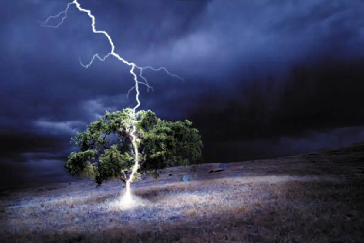 صاعقه زدگی یک چوپان در کوه دشتک دمچنار/۲۰راس دام تلف شد